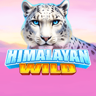 Himalayan Wild screenshot