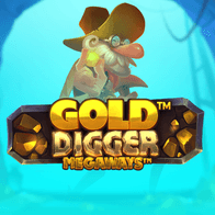 Gold Digger Megaways screenshot